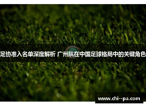 足协准入名单深度解析 广州队在中国足球格局中的关键角色 足协准入名单深度解析 广州队在中国足球格局中的关键角色