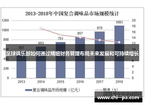 足球俱乐部如何通过精细财务管理布局未来发展和可持续增长