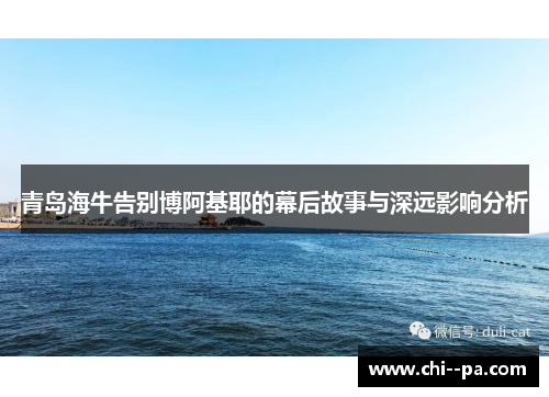青岛海牛告别博阿基耶的幕后故事与深远影响分析