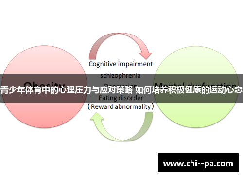 青少年体育中的心理压力与应对策略 如何培养积极健康的运动心态