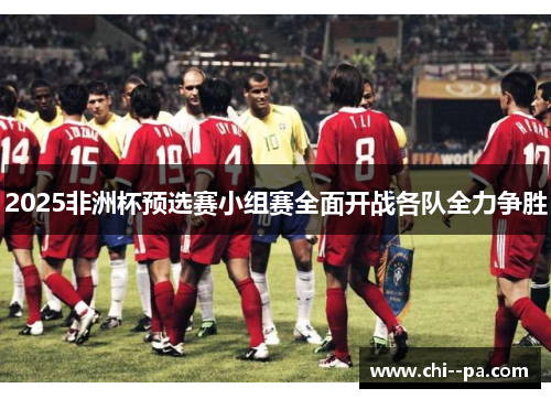 2025非洲杯预选赛小组赛全面开战各队全力争胜 2025非洲杯预选赛小组赛全面开战各队全力争胜