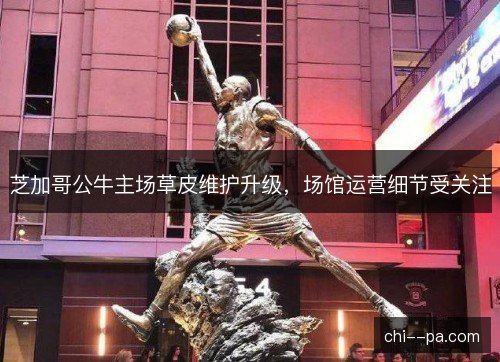 芝加哥公牛主场草皮维护升级，场馆运营细节受关注